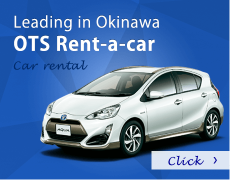OTS Rent a car