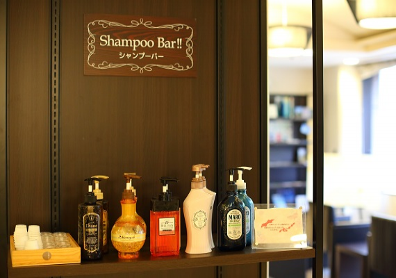 Shampoo stand