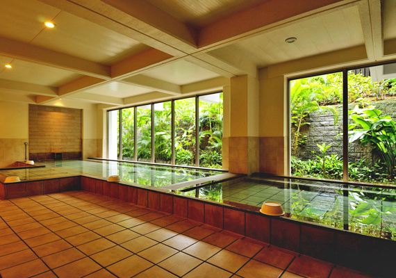 Large Communal Bath and Sauna
