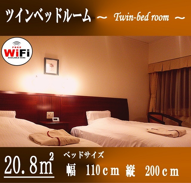 Twin Room (20 m² / 2 beds of 110 cm width)【Smoking】