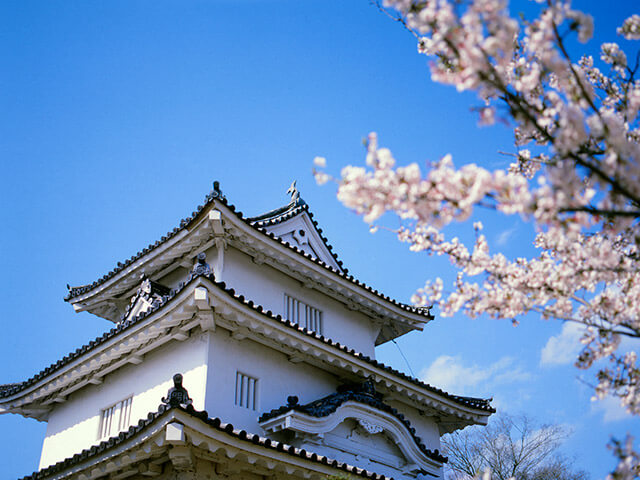 Marugame・Sakaide area