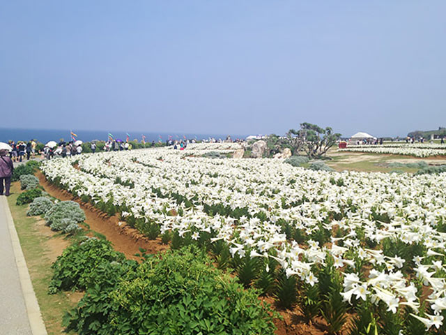 伊江島