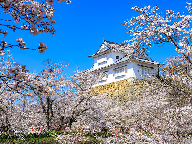 鶴山公園