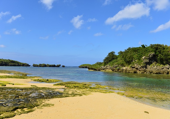 The beach of star sand