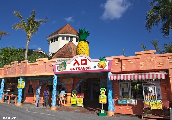 Nago Pineapple Park