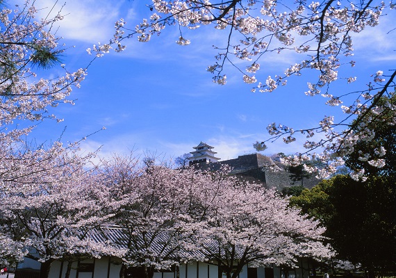 Marugamejo (Marugame Castle)