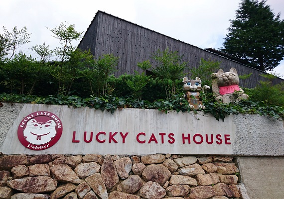 Manekineko (Beckoning Cat) Museum