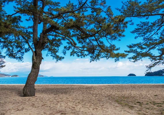 Tsuda no Matsubara (Pines of Tsuda)