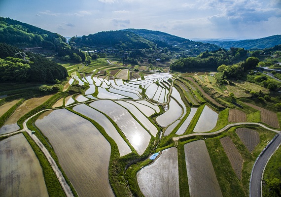 大垪和西の棚田