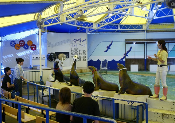 新屋島水族館