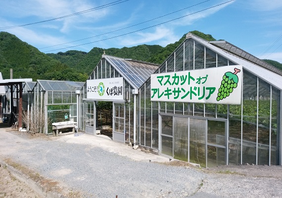 kubo farm