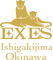 오키나와 엑시즈 이시가키지마 (Okinawa EXES Ishigakijima)