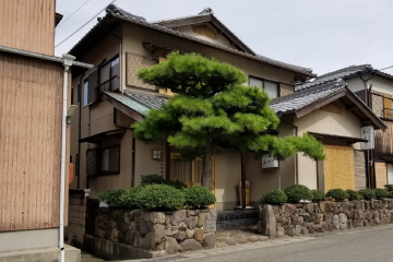 看農村的迎賓館，開花