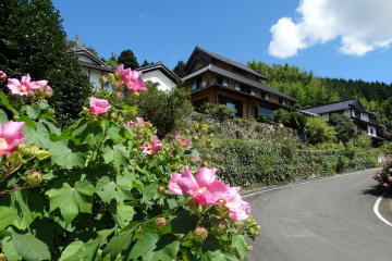 昂山素季書旅館(Aunsanbo）