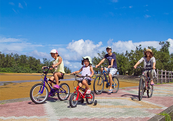 You can rent a bicycle and enjoy this experience