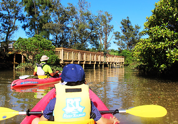 Canoe experience