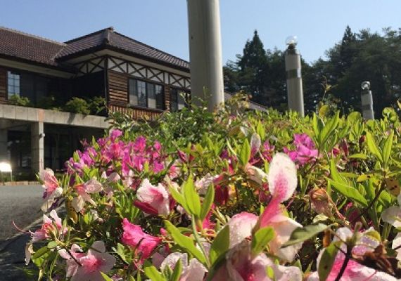 飯店前面的杜鵑花