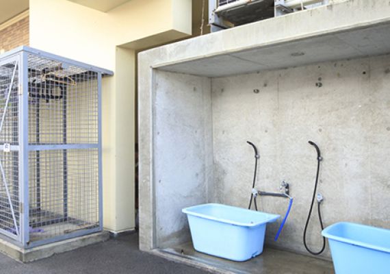 Free scuba diving lockers and washing space available.