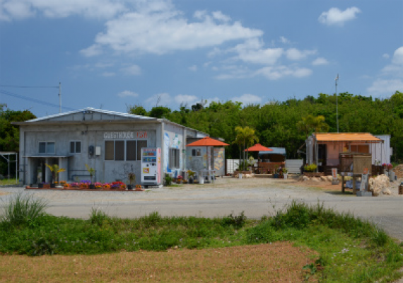 This is a rural town in the northern part of Okinawa, but it is a very quiet and nice place with a cobalt blue sea and sugar cane and chrysanthemum fields.