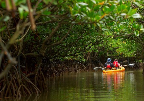 Enjoy various activities that can only be enjoyed in "Yanbaru"