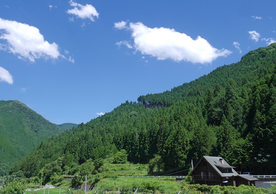 주변의 산(자연)