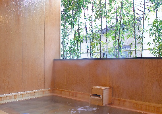 Hot spring (half open-air bath)