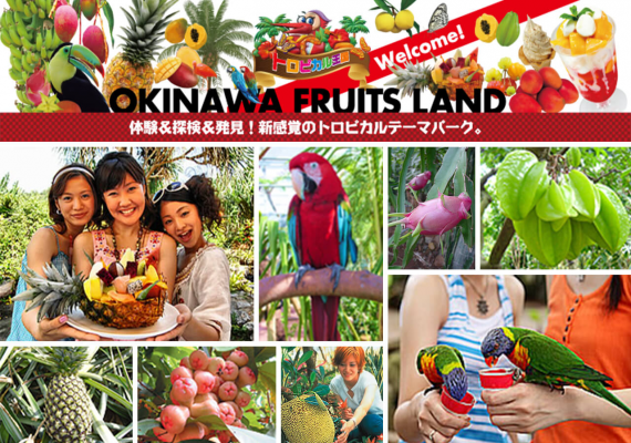 新感受！有著熱帶雨林環境的公園「OKINAWA水果樂園」也可以輕鬆想超值優惠，事先預約唷。