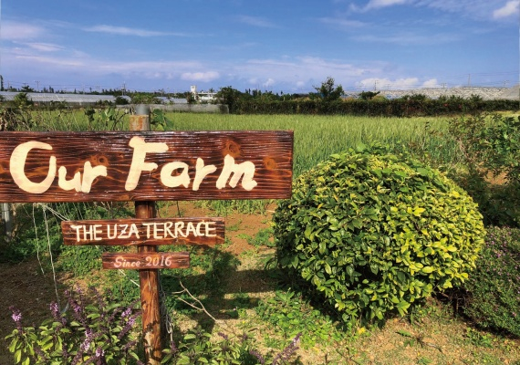 自家農園「OUR FARM」