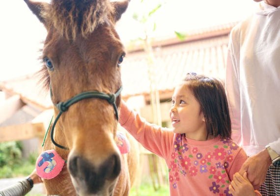 與那國馬（Yonaguni Horse）