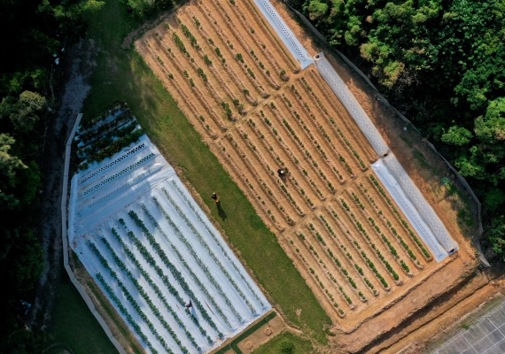 OUR FARM 自家農園