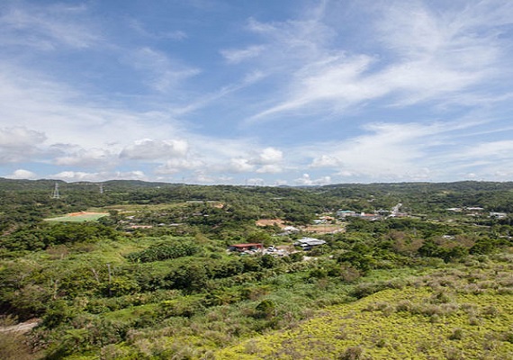 View from the veranda