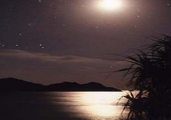 阿波连海滩的宽广夜空