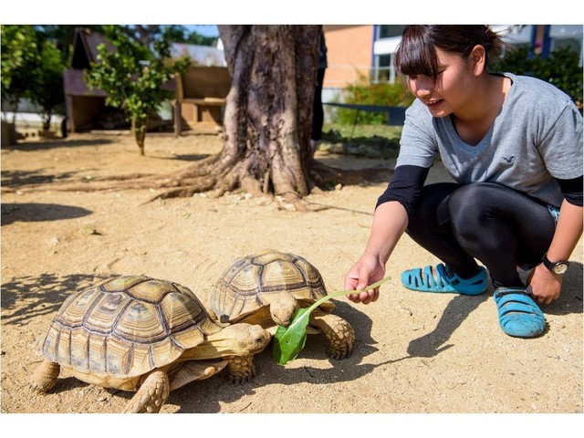 【親子で学ぶ、どうぶつごはん体験】もとぶ元気村だけの自然体験・チャレンジクーポン2倍付！＜朝食付＞