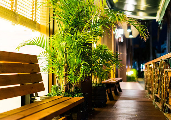 Terrace night view