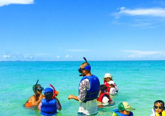 [Surrounding area] During low tide, even small children can use swimming goggles to see the fishes!
