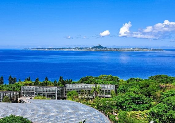 【ハイフロア確約】＜1日3室限定＞全室オーシャンビュー絶好のロケーションを満喫！無料駐車場完備／素泊り
