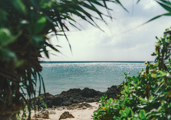 Private beach next to the property