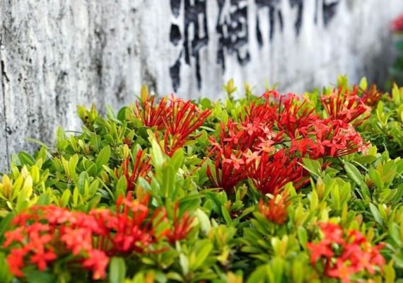 【OTSタイムセール】　古き良き沖縄が、ここにある。有形文化財の宿に泊まる、自分スタイルの沖縄旅＜素泊り＞