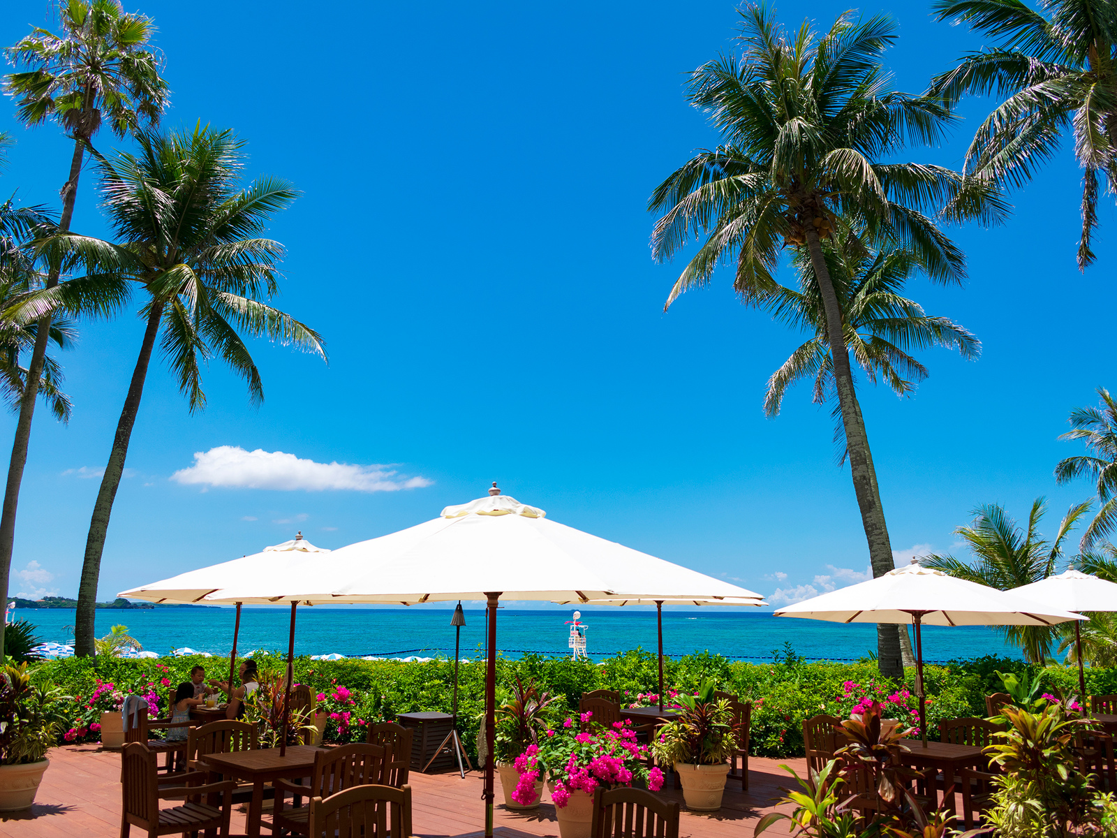 ボワールテラス