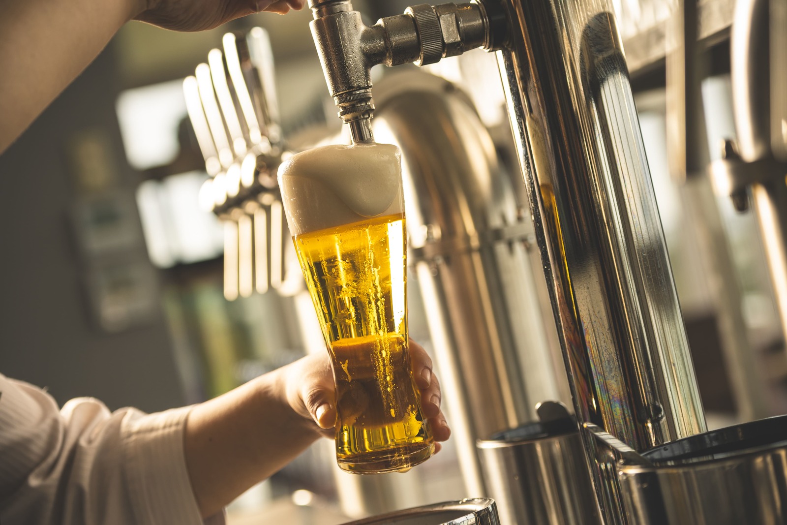 ウェルカムビールイメージ ウェルカムビールイメージ