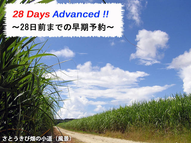 It is advantageos to book 28 days in advance!