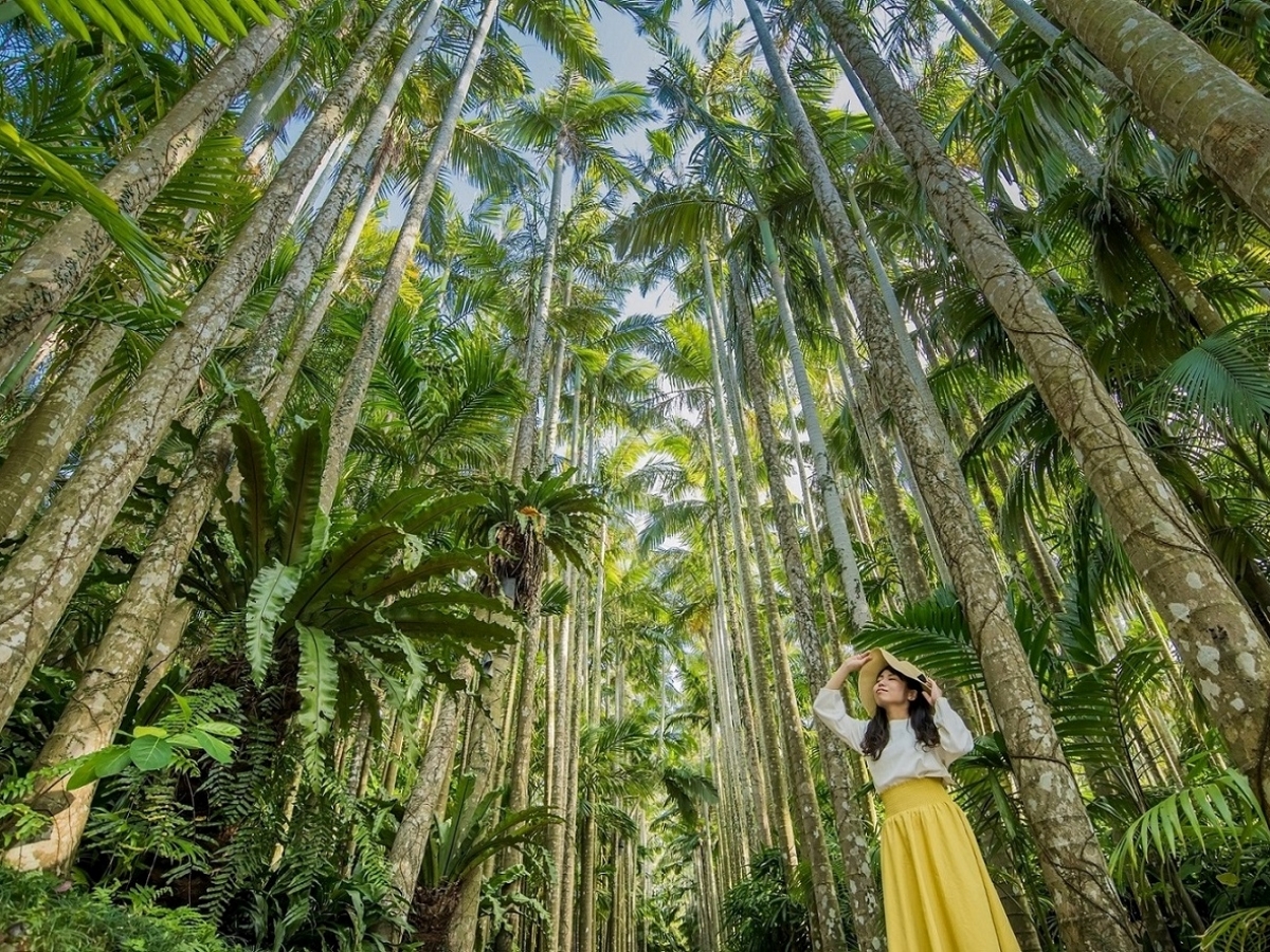 東南植物楽園：南国ならではの植物がたくさん！フォトスポットにも♪