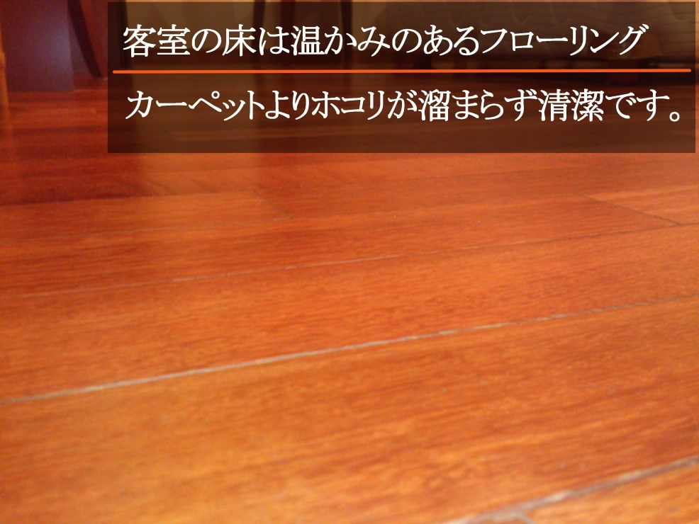 【基本プラン】天然無垢材・フローリング仕様のホテル♪14時イン＆12時アウト付きプラン【素泊り】