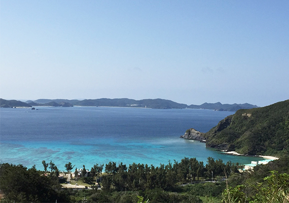 You can look directly down over Tokashiku Beach, famous as a spot for swimming with sea turtles, from the location