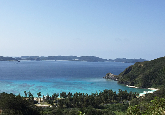 位在可以俯視正下方因能夠與海龜一起游泳而聞名的Tokashiku海灘的地理位置