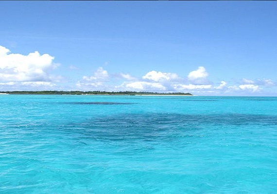 Sea