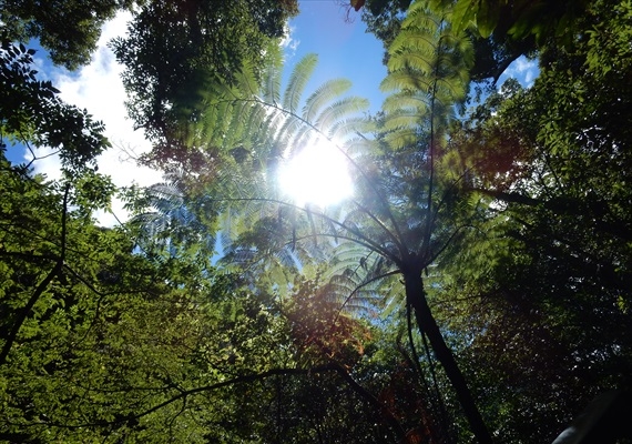 盡情享受山原的大自然！