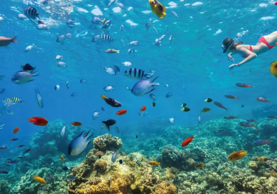 【沖縄トラベル・1泊で気楽に宿泊】広くてお洒落アジアンテイスト風部屋・非日常、絶景オーシャンビュー☆（素泊まり）