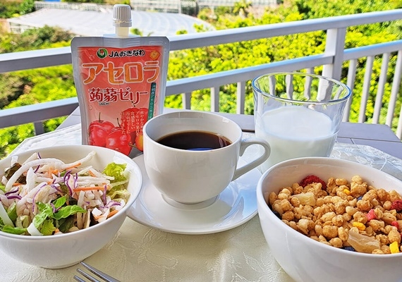 沖縄の海を丸ごと体験！イルカショーも楽しめる「沖縄美ら海水族館」はホテルから徒歩約10分♪軽朝食付