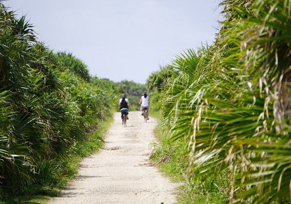 <CENTER>새로운 감각</CENTER><CENTER>오키나와에서【OKINAWA】를 느끼는 여행</CENTER>